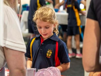 Js Christmas Stall PF 46