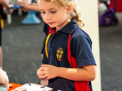 Js Christmas Stall PF 48