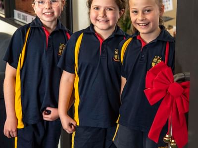 Js Christmas Stall PF 26