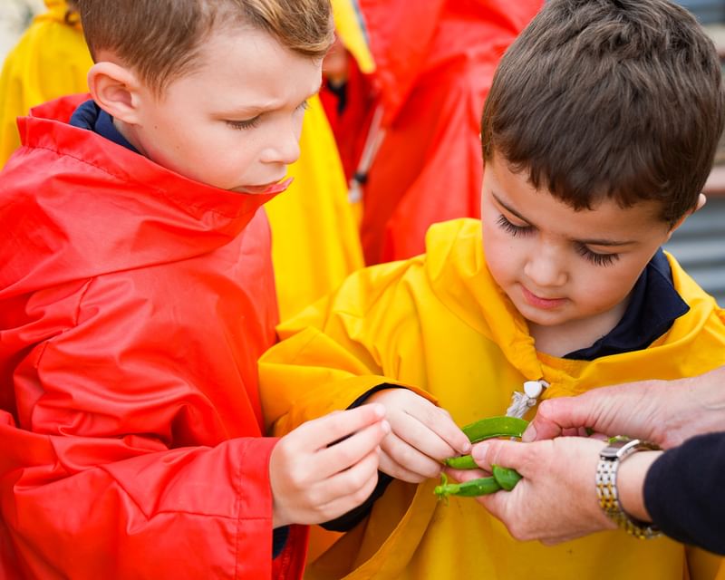 Wv ey patch to plate 2