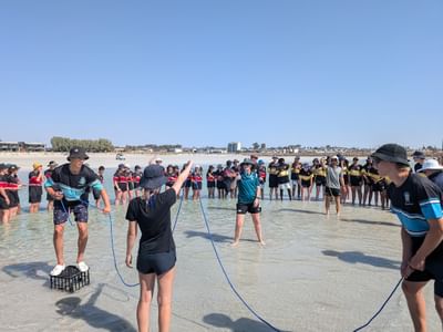 PXL 20250206 055740228